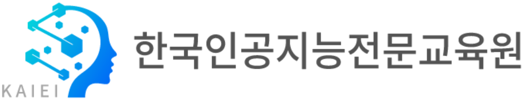 한국인공지능전문교육원 KAIEI